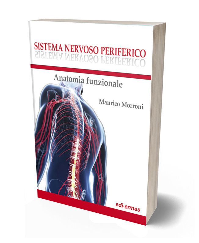 cover_morroni_sistema_nervoso_ediermes