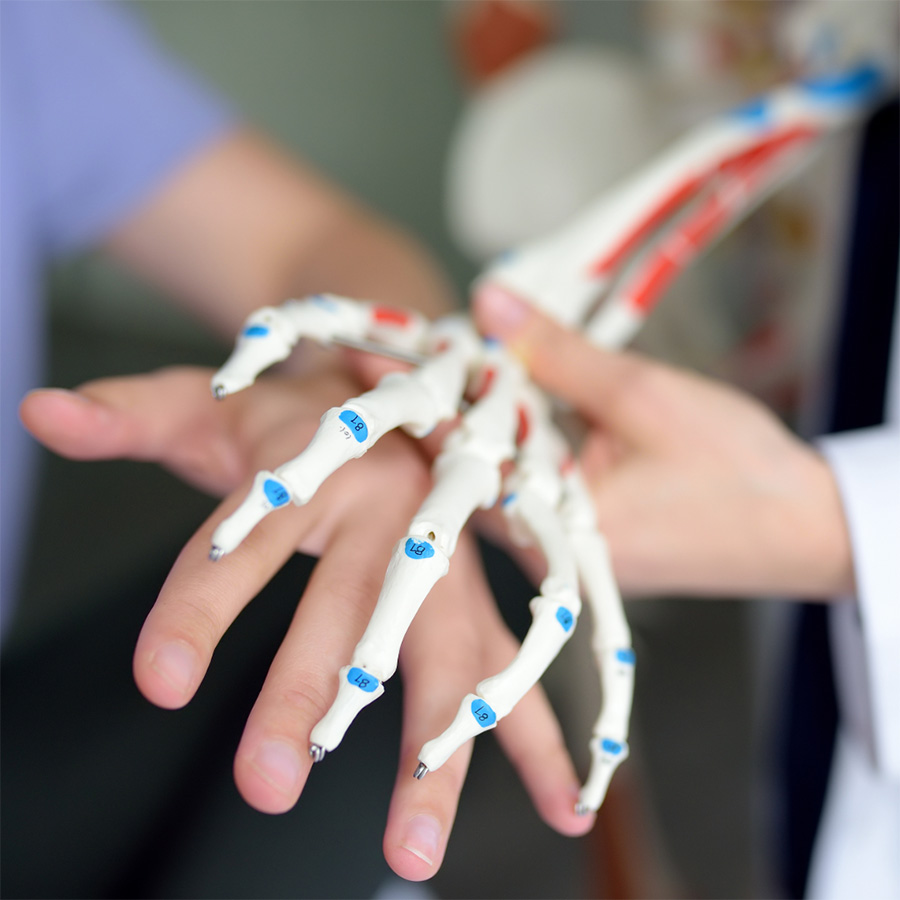 Nessuna immagine impostata 