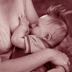 Nessuna immagine impostata 